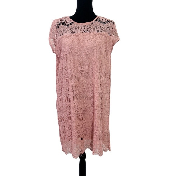 Rebellion Blush Pink Lace Dress - Picture 1 of 4